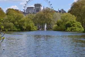 ST-JAMES-PARK (7)